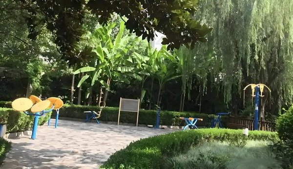 逼婚N次方：叫我女王大人