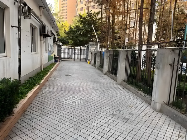 桀骜不羁：嗜血太妹