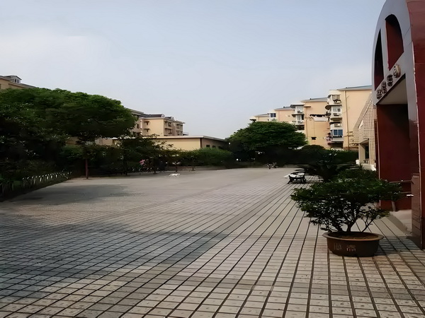 邪王夺妻:倾世美将军