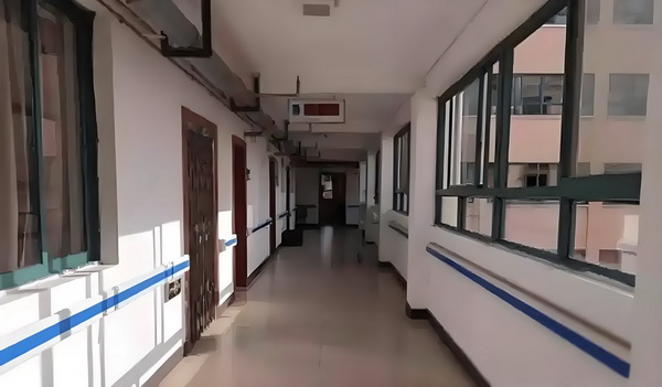 我的虚拟恋人