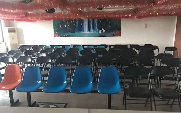 丫鬟逆袭：双面皇子清冷妃